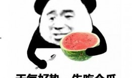 吃瓜表情解析视频,揭秘网络视频中的趣味瞬间