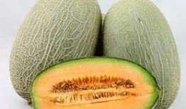 吃哈密瓜可以吃甘蔗吗,夏季水果搭配新主张