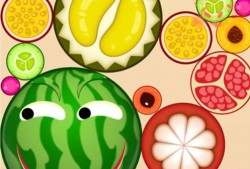 黑吃瓜破解版,揭秘游戏内幕，畅享无限制游戏体验