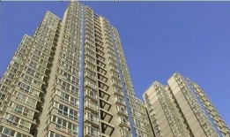 欢瑞高层吃瓜,一场吃瓜盛宴背后的权力博弈