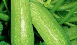 吃瓜会痛风吗,吃瓜引发痛风？揭秘瓜果与痛风的关系