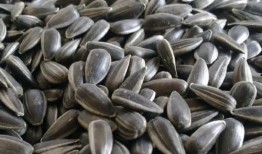 吃瓜子看戏吃瓜