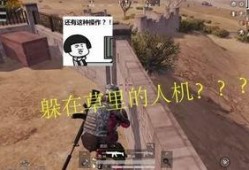 吃鸡战场小瓜,小瓜带你领略吃鸡战场魅力