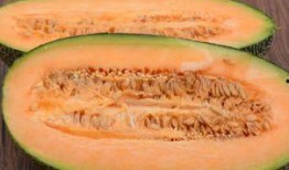 泡澡可以吃哈密瓜,享受双重愉悦的放松体验