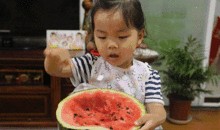 吃瓜群众品牌