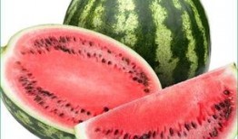 有胃病泈瓜可吃吗,健康饮食新选择