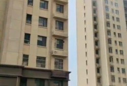 欢瑞高层吃瓜,一场吃瓜盛宴背后的权力博弈