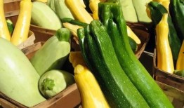 带你吃瓜户外,揭秘户外美食之旅