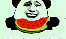 公路新闻我在吃瓜,吃瓜群众热议最新公路动态