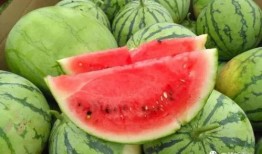 享受吃瓜,揭秘吃瓜群众的快乐源泉