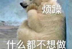 吃瓜 狼 表情包,趣味横生引发热议