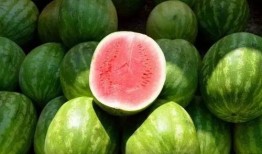 吃瓜不放糖,揭秘娱乐圈真相