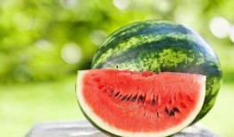 吃熙瓜,一场味蕾的盛宴之旅