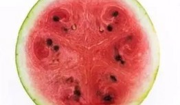 吃瓜要吃全套,吃瓜群众必看，全方位解析明星幕后故事