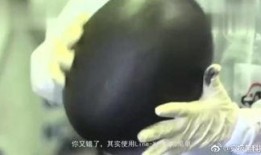 瓜宝宝吃瓜视频