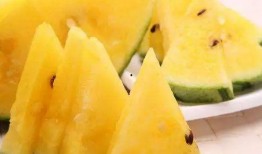 黑吃瓜破解版,揭秘游戏内幕，畅享无限制游戏体验