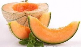 孕妇吃哈密瓜苦,营养与健康的双重考量