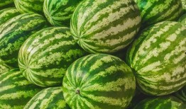 找你吃瓜群众视频,揭秘“找你吃瓜群众”视频背后的热点事件与网友热议