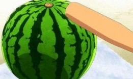 准备吃全瓜,尽享美味与营养的完美融合