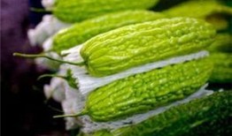 怀孕吃稍瓜,孕妇吃稍瓜的益处与食用指南