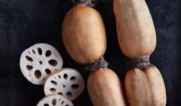 夏吃瓜秋吃藕,夏享清凉瓜果，秋品润泽藕香