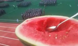 小学初中吃瓜,从小学到初中的美味成长之旅