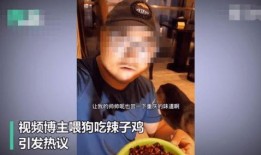 吃瓜博主王铁锤,揭秘娱乐圈那些不为人知的幕后故事