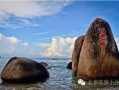 海角真实吃瓜,揭秘真实吃瓜背后的故事