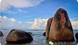 海角真实吃瓜,揭秘真实吃瓜背后的故事