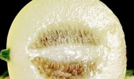 瓶子吃瓜盘点,揭秘娱乐圈那些不为人知的幕后故事