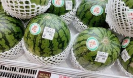 熊本吃瓜,揭秘日本熊本县独特的美食文化