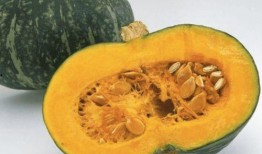 瓜软着吃,尽享软糯口感
